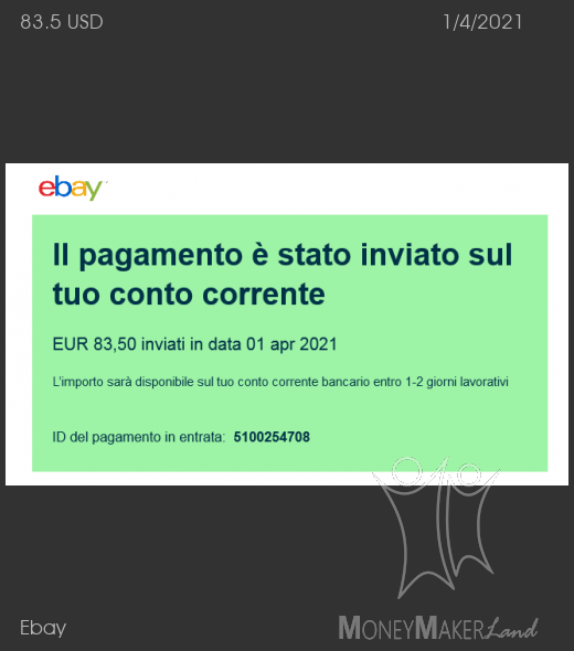 Pagamento 393 per Ebay