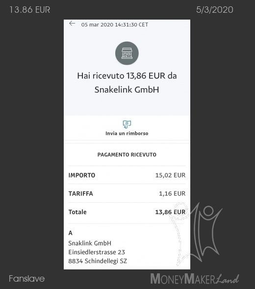 Payment 31 for Fanslave