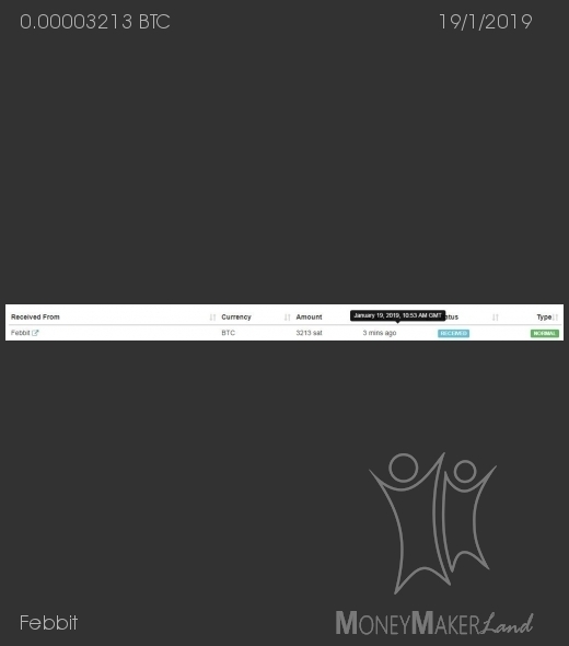 Payment 24 for Febbit
