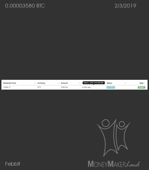 Payment 31 for Febbit