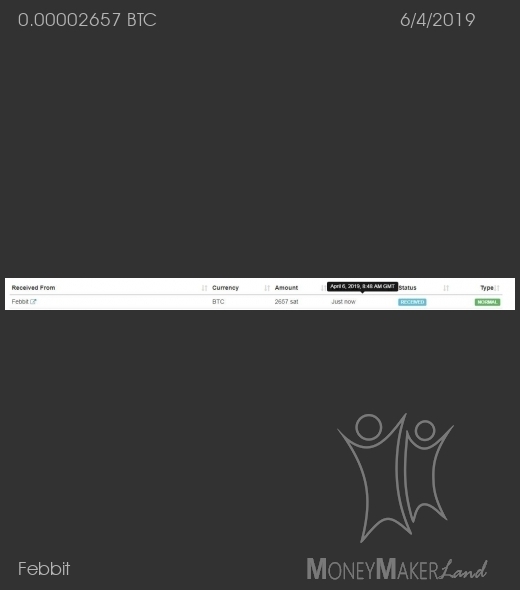 Payment 36 for Febbit