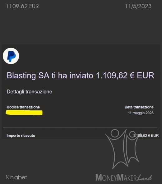 Payment 176 for Ninjabet