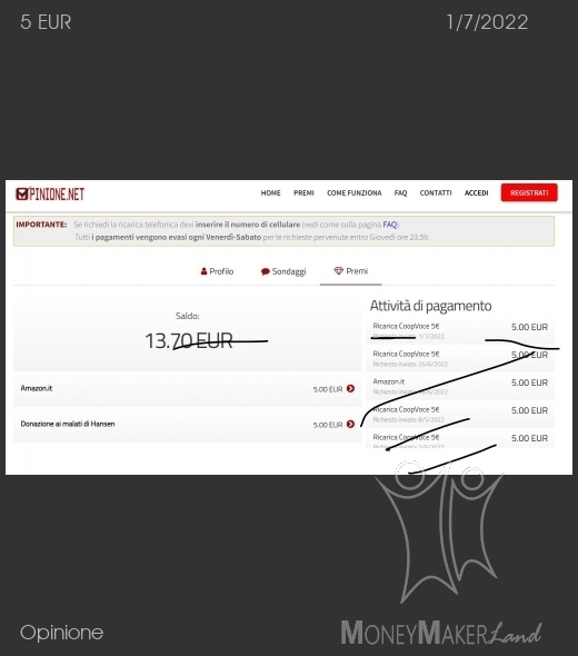 Pagamento 243 per Opinione
