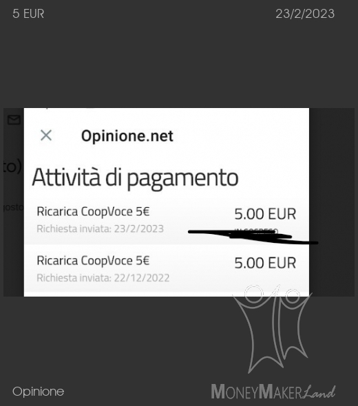 Payment 256 for Opinione