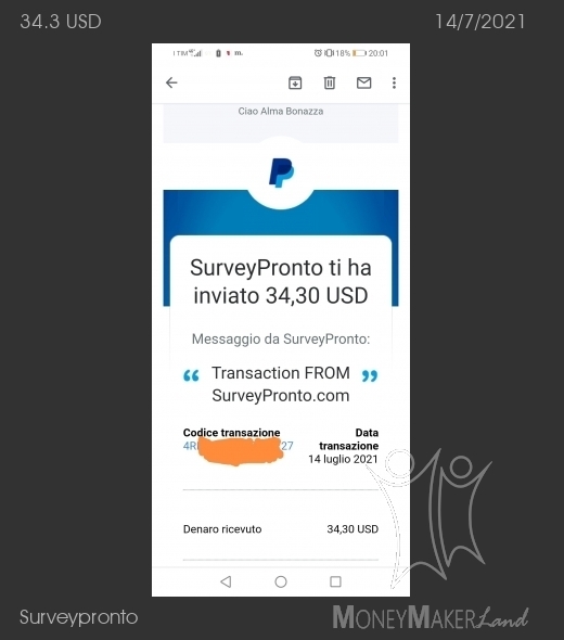 Payment 13 for Surveypronto