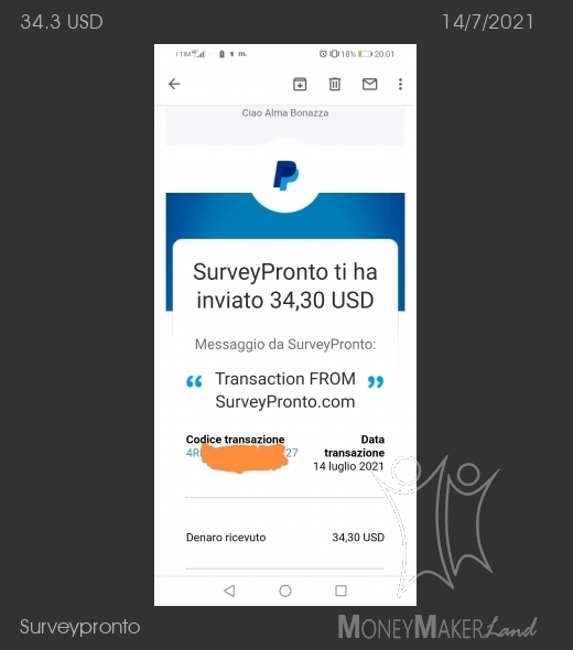 Pagamento 13 per Surveypronto