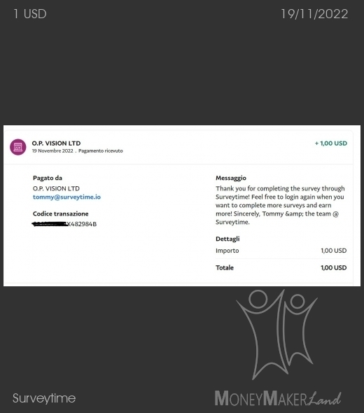 Payment 119 for Surveytime