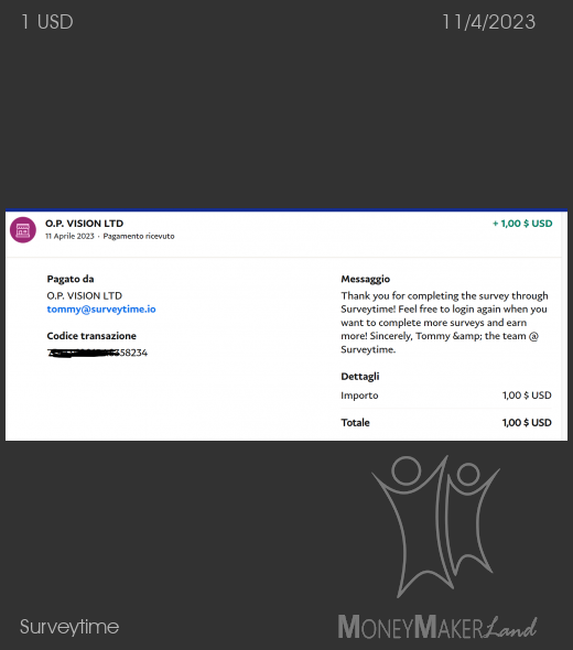 Pagamento 127 per Surveytime