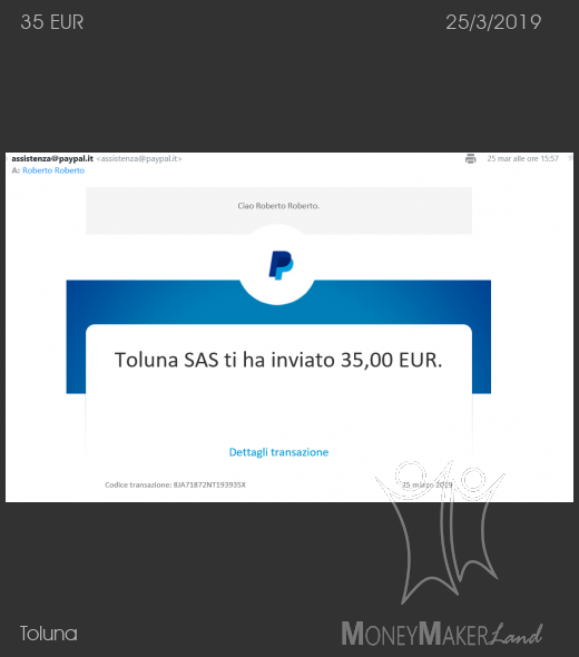 Payment 113 for Toluna