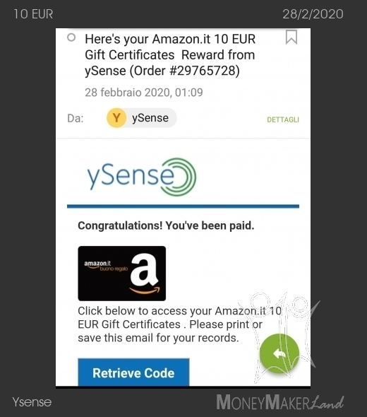 Payment 2599 for Ysense