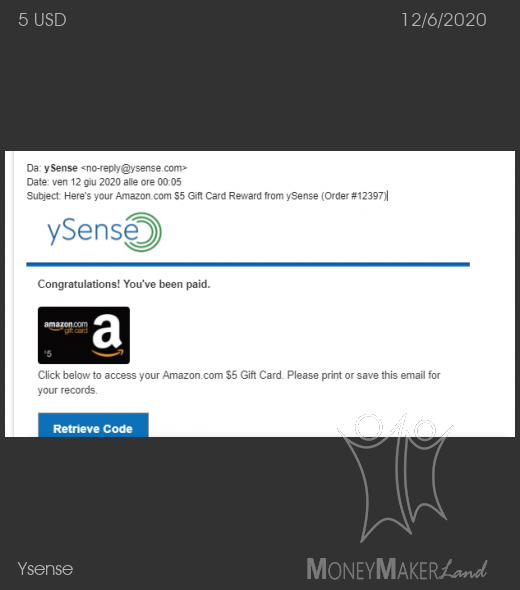 Payment 2667 for Ysense