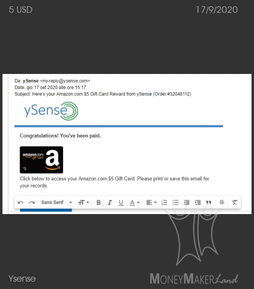 Payment 2719 for Ysense