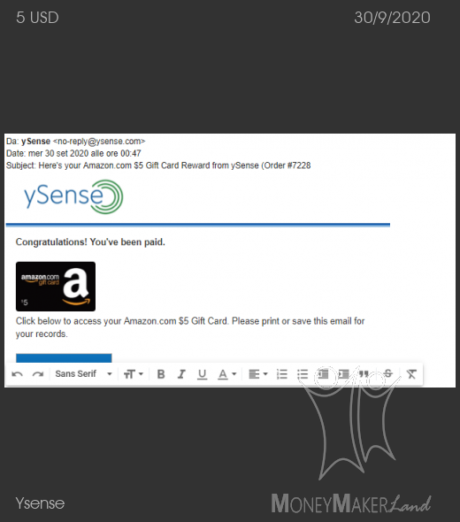 Payment 2727 for Ysense