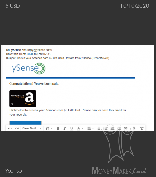 Payment 2729 for Ysense