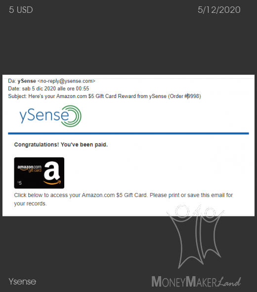 Payment 2753 for Ysense