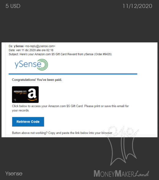 Payment 2756 for Ysense