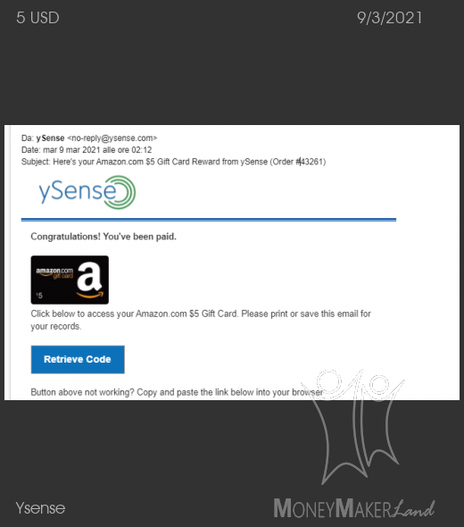 Payment 2787 for Ysense