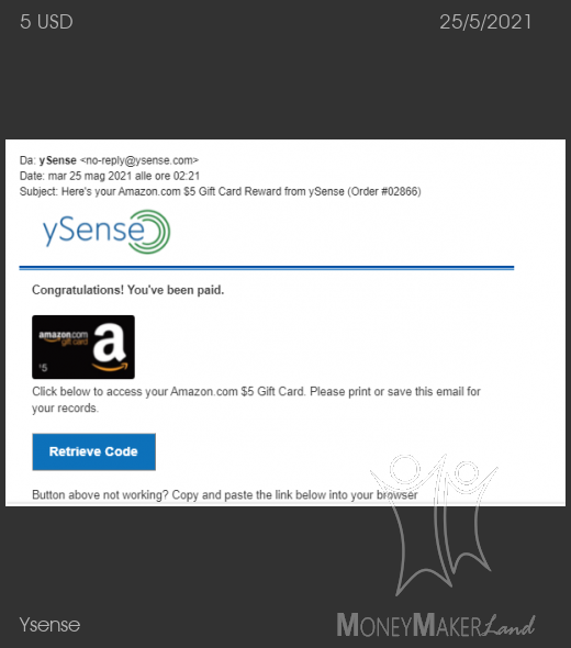 Payment 2822 for Ysense