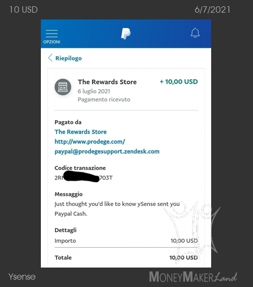 Payment 2843 for Ysense