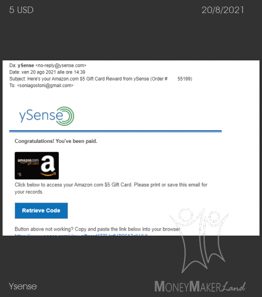 Payment 2859 for Ysense