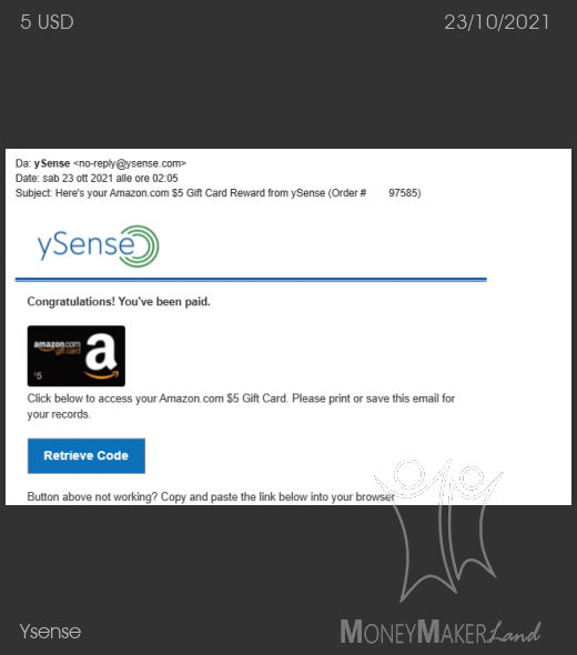 Payment 2869 for Ysense