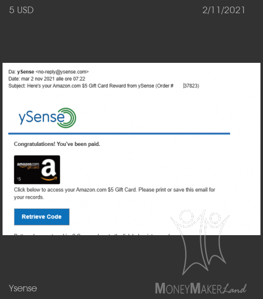 Payment 2871 for Ysense