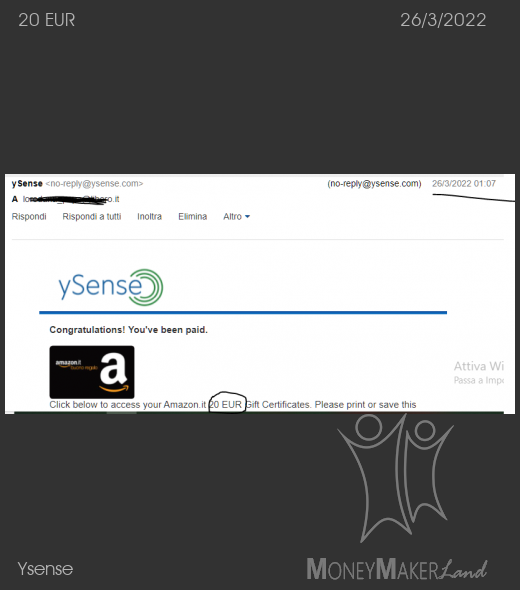 Payment 2817 for Ysense