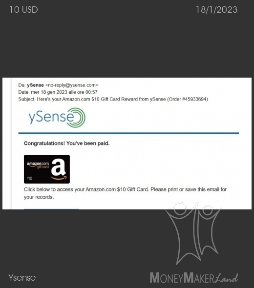 Payment 2843 for Ysense